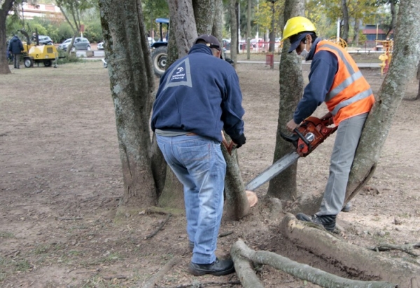 Mantenimiento de espacios verdes