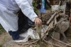 En &eacute;poca de lluvias es determinante prevenir el dengue