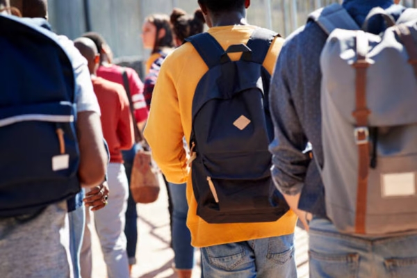 Becas Progresar: qu&eacute; pas&oacute; con la cifra de beneficiarios y su presupuesto en la gesti&oacute;n de Milei