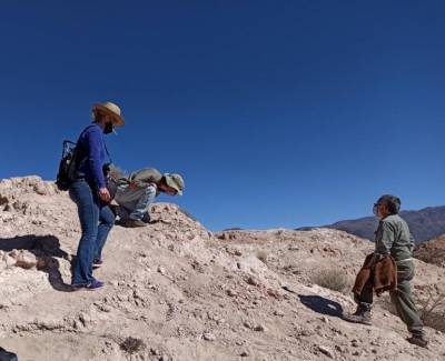 Hallaron restos fósiles de mamíferos en Humahuaca