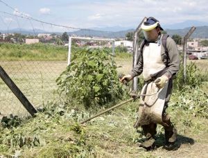 Desmalezado y limpieza de espacios p&uacute;blicos