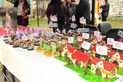 El domingo se realizar&aacute; la 19&ordf; edici&oacute;n de la festividad de Santa Anita en las 200 Viviendas de Alto Comedero