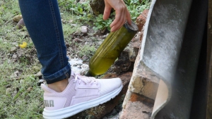 En Jujuy se registraron 4 casos de dengue