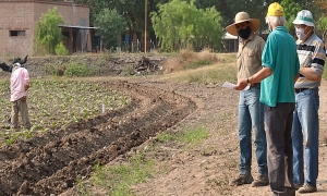 Sostenibilidad de la producci&oacute;n de tabaco en la provincia