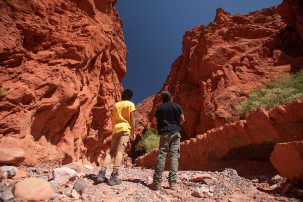 Jujuy quintuplic&oacute; ventas en la segunda edici&oacute;n de PreViaje