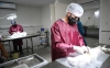 Zoonosis inici&oacute; campa&ntilde;a de Castraci&oacute;n Masiva
