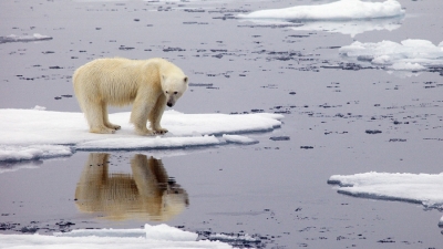 De mal en peor: los indicadores del cambio clim&aacute;tico batieron r&eacute;cords en 2021