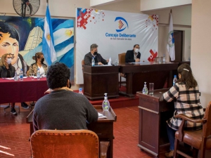 Concejales regular&aacute;n la Cerveza Artesanal