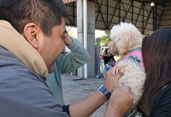 Multitudinaria jornada por el D&iacute;a del Animal