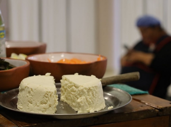 Medidas de cuidado para prevenir la brucelosis