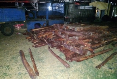 La provincia recupera 710 postes transportados de manera il&iacute;cita