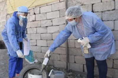 Los huevos del mosquito transmisor del dengue persisten intactos con bajas temperaturas