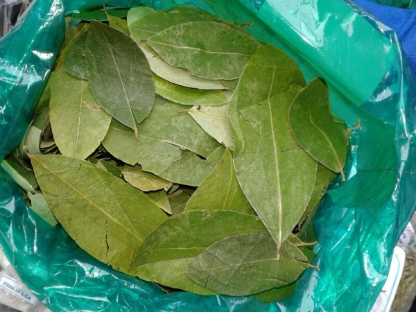 Habilitan p&aacute;gina web para la distribuci&oacute;n de hojas de coca