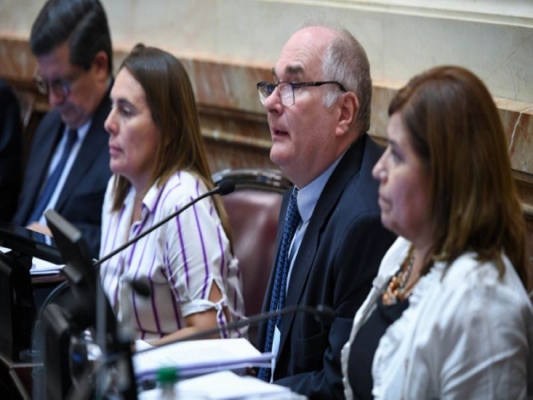 Senado aprob&oacute; ley de G&oacute;ndolas