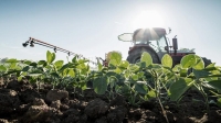 Tras dos semanas de vigencia del "d&oacute;lar soja", agroexportadores ingresaron US$ 3.564 millones