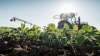 Tras dos semanas de vigencia del "d&oacute;lar soja", agroexportadores ingresaron US$ 3.564 millones
