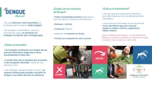 El dengue se transmite por la picadura del mosquito infectado