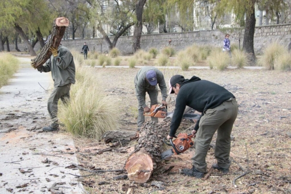 Realizan tareas de mantenimiento en el Parque Xibi-Xibi