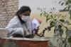 Dengue: se reportaron 150 nuevos casos