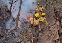 Jujuy. Logran controlar incendios forestales