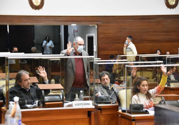 Aprobaron .Defensor&iacute;a de Ni&ntilde;os, residencias m&eacute;dicas y tenencia responsable de mascotas
