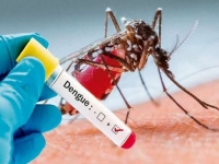 Jujuy ya supera los 4900 casos positivos de Dengue
