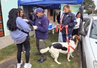 Jornada de vacunaci&oacute;n antirr&aacute;bica en el Barrio Los Perales