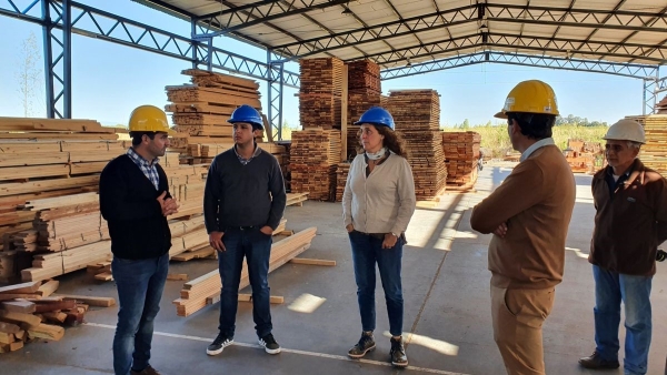 Reconocen labor "modelo" del Centro Foresto Industrial de Arrayanal