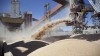 Argentina abri&oacute; un mercado clave para su trigo y para todo el sector cerealero