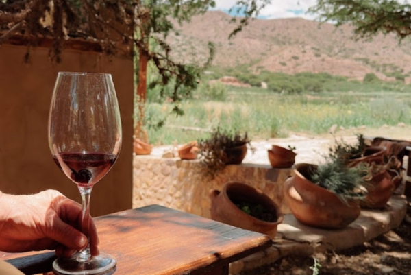 "II Jornadas de Enoturismo en Jujuy" y "Las Rutas del Vino"