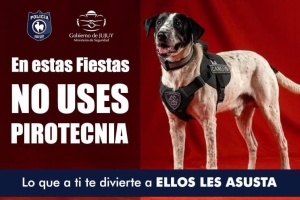 En estas fiestas , "Pirotecnia Sonora Cero" en Jujuy