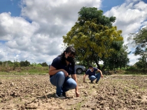 Buscan mejorar la productividad de los suelos juje&ntilde;os