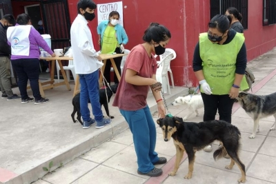 Cronograma e itinerario del Programa de Vacunaci&oacute;n Antirr&aacute;bica