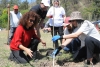Municipalidad y ARCA plantaron 50 &aacute;rboles nativos