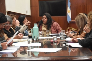 Igualdad de G&eacute;nero dio despacho a proyectos de inter&eacute;s