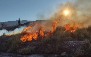 Incendios Forestales en Jujuy. Varios focos fueron sofocados
