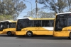 El servicio urbano de transporte de pasajeros sum&oacute; nuevas unidades