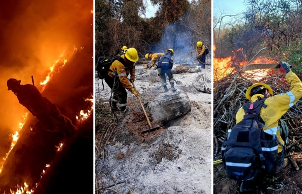 Jujuy registr&oacute; 101 incendios forestales durante septiembre