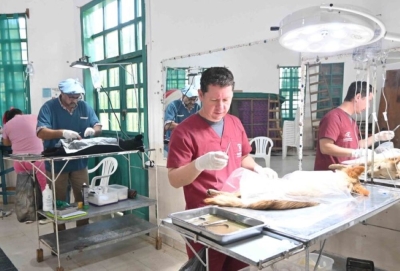 Actividades de Zoonosis en distintos barrios de la ciudad