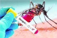 Jujuy en alerta sanitaria por dengue