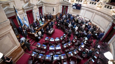 El Senado aprob&oacute; el Presupuesto 2023