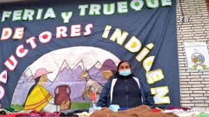 Nueva Feria y Trueque Manos Indígenas en Capital