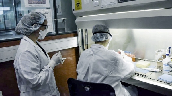 Coronavirus en Argentina: confirmaron 84 muertes y 4.430 contagios en las &uacute;ltimas 24 horas