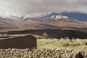 Ancestro del Chañi regresa a Jujuy después de 119 años