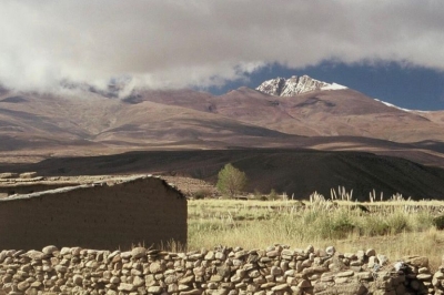 Ancestro del Cha&ntilde;i regresa a Jujuy despu&eacute;s de 119 a&ntilde;os