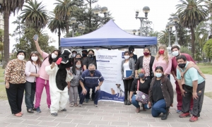 Por D&iacute;a de la Rabia, jornada de vacunaci&oacute;n y concientizaci&oacute;n