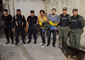 Volcan.Ambiente env&iacute;a un ejemplar de c&oacute;ndor andino a Bs. As