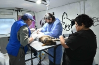Exitosa jornada de castraci&oacute;n masiva en el barrio Malvinas