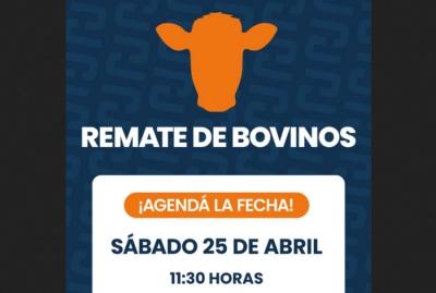 Remate ganadero en Jujuy: convocan a productores