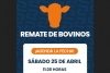 Remate ganadero en Jujuy: convocan a productores